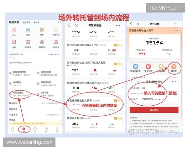 皇冠app登录流程详解，解决常见登录问题的实用技巧分享