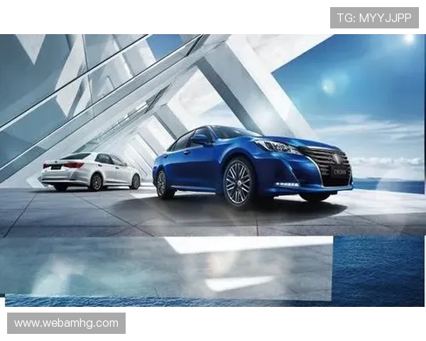 皇冠手机版最新版本下载安装支持多设备操作，快速完成更新无需等待